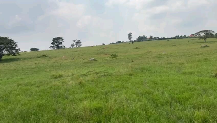 WhatsApp Image 2024-06-25 at 1.32.41 PM.jpeg